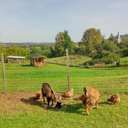 Roulotte Toute Equipee Chalet Orthez